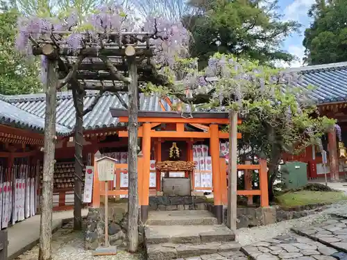 春日大社の末社