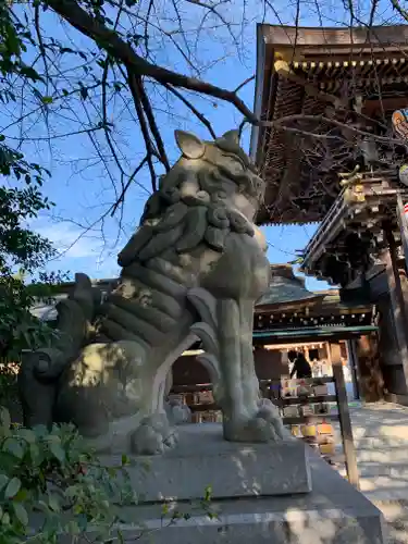 寒川神社の狛犬