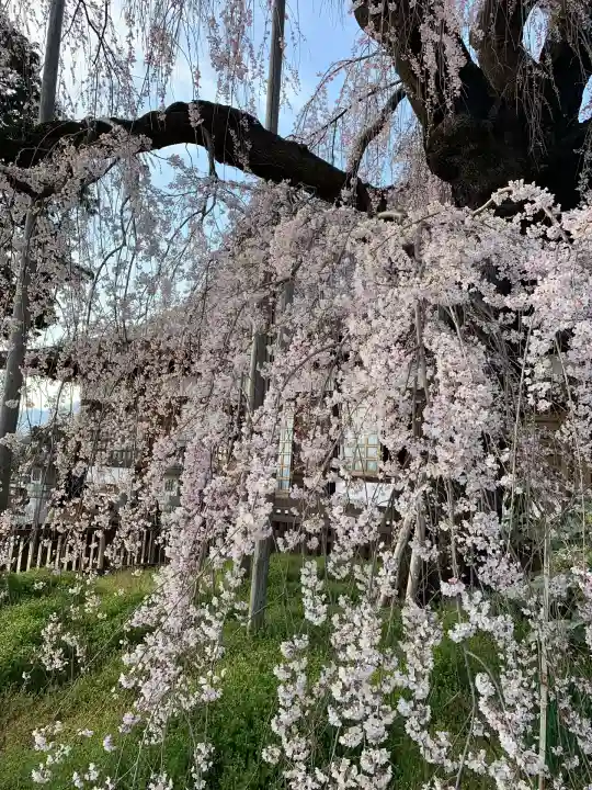 慈雲寺(山梨県)