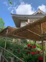 東長谷寺 薬王院の庭園