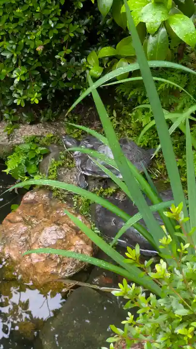 宝蔵寺(京都府)