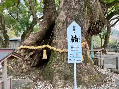 大麻比古神社(徳島県)