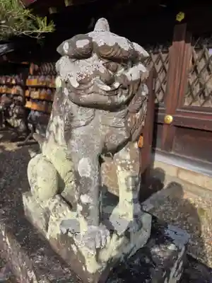 梅宮大社(京都府)