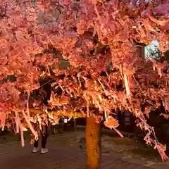 桜神宮(東京都)