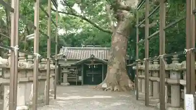 伊久比売神社の本殿・本堂