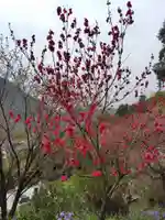 常鑑寺(群馬県)