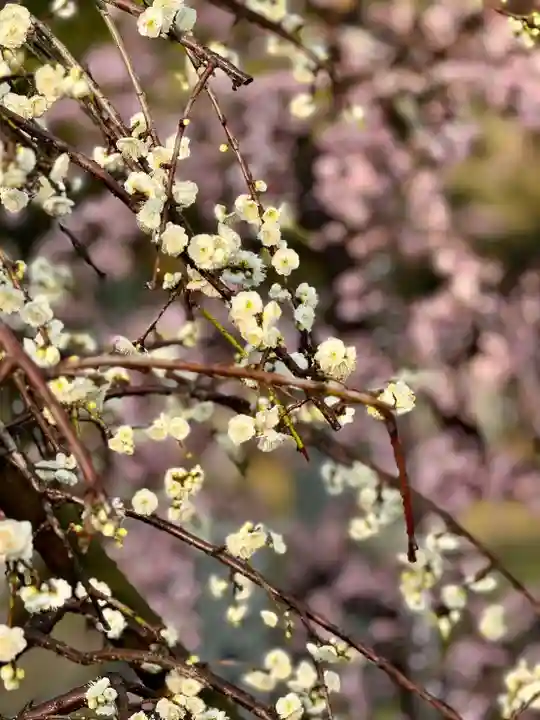 伊勢の国 四天王寺(三重県)