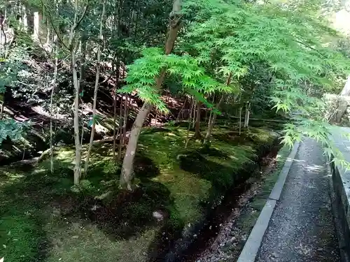 酬恩庵一休寺の自然