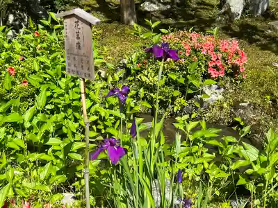 天龍寺(京都府)