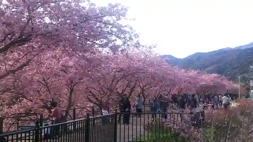 須佐乃男神社   の自然