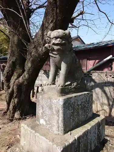 前玉神社の狛犬