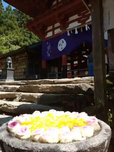 丹生都比売神社(和歌山県)