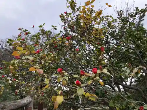 妙光寺(新潟県)