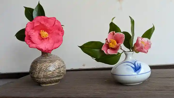 浄安寺(京都府)