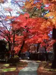 正樂寺(宮城県)