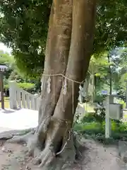 思金神社(神奈川県)