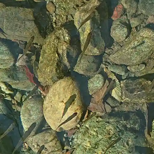 伊勢神宮内宮（皇大神宮）(三重県)