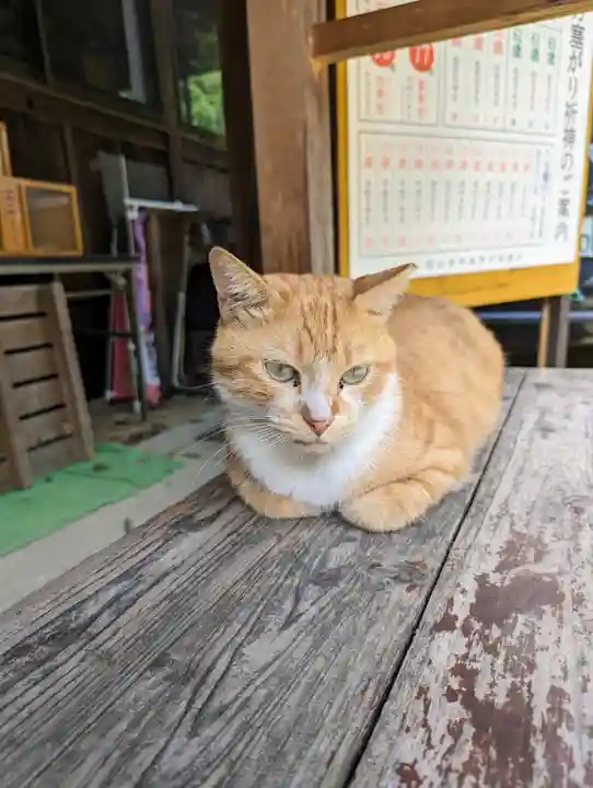 縣主神社(岡山県)