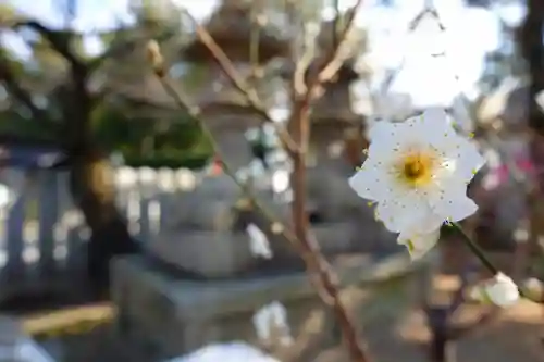 道明寺天満宮の自然