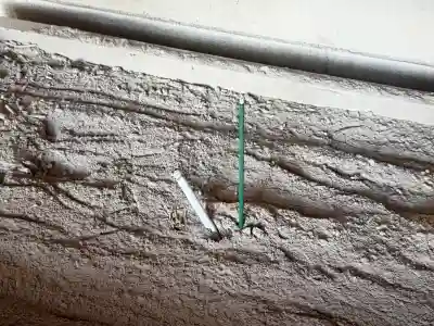 音次郎稲荷神社の{uncategorized: "未分類", other: "その他", undefined: "問題あり", building: "その他建物", grave: "お墓", sacred_gate: "鳥居", guardian: "狛犬", statue: "像", buddha: "仏像", history: "歴史", nature: "自然", garden: "庭園", animal: "動物", pagoda: "塔", temizu: "手水舎", mountain_gate: "山門・神門", sanctuary: "本殿・本堂", subordinate: "末社・摂社", art: "芸術", scenery: "景色", jizo: "地蔵", ema: "絵馬", goshuin: "御朱印", omikuji: "おみくじ", items: "授与品その他", amulet: "お守り", goshuincho: "御朱印帳", eats: "食事", festival: "お祭り", votive_dance: "神楽", shichigosan: "七五三参", wedding: "結婚式", experience: "体験その他", initially: "初詣", around: "周辺", anti_infection: "感染症対策"}