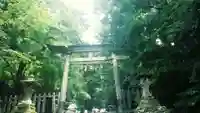 平泉寺白山神社(福井県)