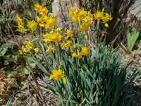 正行寺(岐阜県)