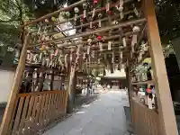 川越氷川神社(埼玉県)