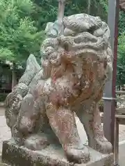 いそ部神社の狛犬