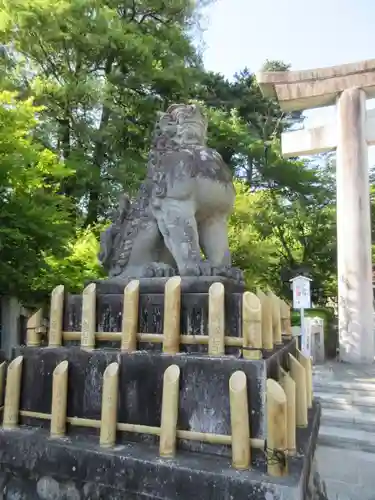 武田神社の狛犬