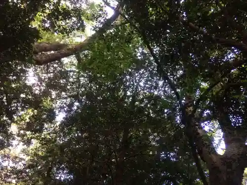 金刀比羅宮の自然