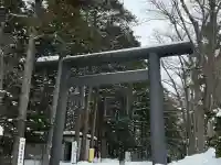 北海道神宮の{uncategorized: "未分類", other: "その他", undefined: "問題あり", building: "その他建物", grave: "お墓", sacred_gate: "鳥居", guardian: "狛犬", statue: "像", buddha: "仏像", history: "歴史", nature: "自然", garden: "庭園", animal: "動物", pagoda: "塔", temizu: "手水舎", mountain_gate: "山門・神門", sanctuary: "本殿・本堂", subordinate: "末社・摂社", art: "芸術", scenery: "景色", jizo: "地蔵", ema: "絵馬", goshuin: "御朱印", omikuji: "おみくじ", items: "授与品その他", amulet: "お守り", goshuincho: "御朱印帳", eats: "食事", festival: "お祭り", votive_dance: "神楽", shichigosan: "七五三参", wedding: "結婚式", experience: "体験その他", initially: "初詣", around: "周辺", anti_infection: "感染症対策"}