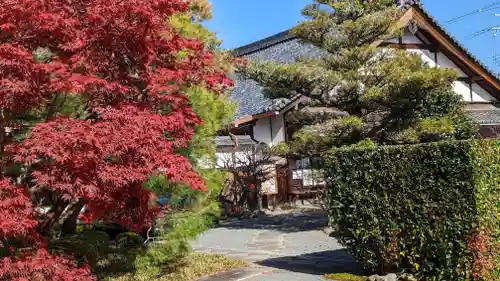 神光院の建物その他