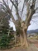 上諏訪神社(彌彦神社末社)(新潟県)