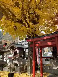 瀧宮神社(広島県)(2025年12月03日(水) 06時06分22秒投稿)
