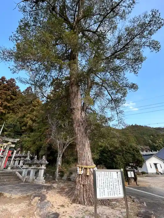 朝倉八幡宮(山口県)