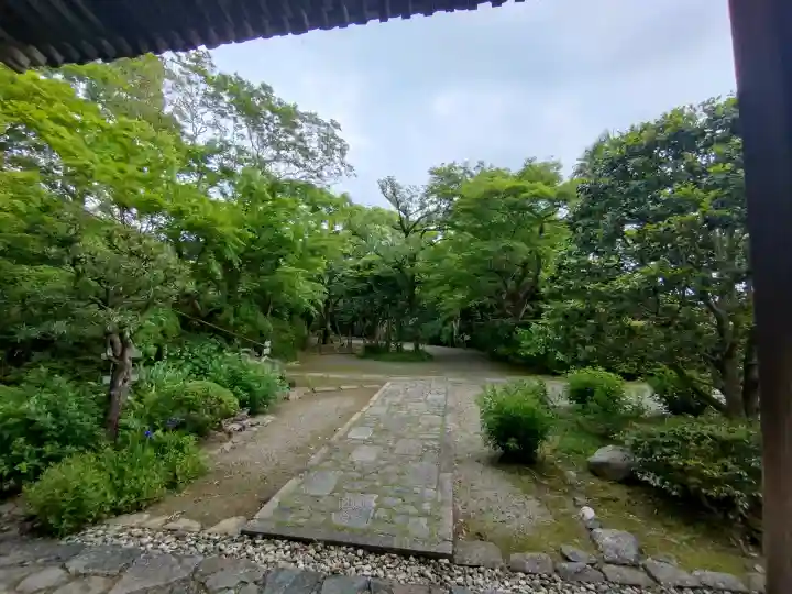 白毫寺の{uncategorized: "未分類", other: "その他", undefined: "問題あり", building: "その他建物", grave: "お墓", sacred_gate: "鳥居", guardian: "狛犬", statue: "像", buddha: "仏像", history: "歴史", nature: "自然", garden: "庭園", animal: "動物", pagoda: "塔", temizu: "手水舎", mountain_gate: "山門・神門", sanctuary: "本殿・本堂", subordinate: "末社・摂社", art: "芸術", scenery: "景色", jizo: "地蔵", ema: "絵馬", goshuin: "御朱印", omikuji: "おみくじ", items: "授与品その他", amulet: "お守り", goshuincho: "御朱印帳", eats: "食事", festival: "お祭り", votive_dance: "神楽", shichigosan: "七五三参", wedding: "結婚式", experience: "体験その他", initially: "初詣", around: "周辺", anti_infection: "感染症対策"}