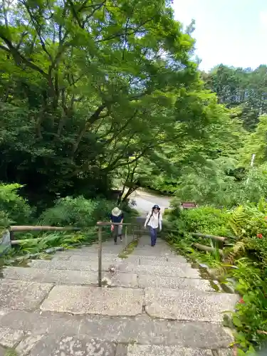 日向大神宮の{uncategorized: "未分類", other: "その他", undefined: "問題あり", building: "その他建物", grave: "お墓", sacred_gate: "鳥居", guardian: "狛犬", statue: "像", buddha: "仏像", history: "歴史", nature: "自然", garden: "庭園", animal: "動物", pagoda: "塔", temizu: "手水舎", mountain_gate: "山門・神門", sanctuary: "本殿・本堂", subordinate: "末社・摂社", art: "芸術", scenery: "景色", jizo: "地蔵", ema: "絵馬", goshuin: "御朱印", omikuji: "おみくじ", items: "授与品その他", amulet: "お守り", goshuincho: "御朱印帳", eats: "食事", festival: "お祭り", votive_dance: "神楽", shichigosan: "七五三参", wedding: "結婚式", experience: "体験その他", initially: "初詣", around: "周辺", anti_infection: "感染症対策"}