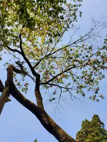 磐椅神社(福島県)