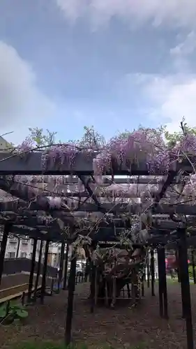 相馬神社(北海道)