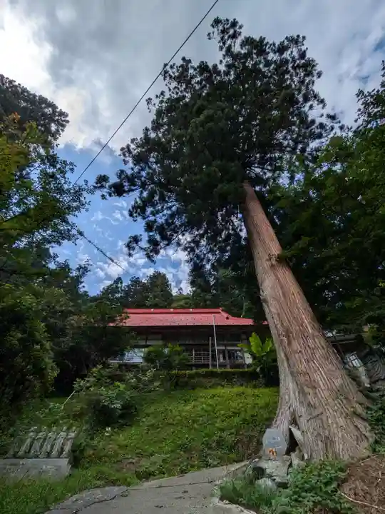 東堂山 満福寺(昭和羅漢)の自然