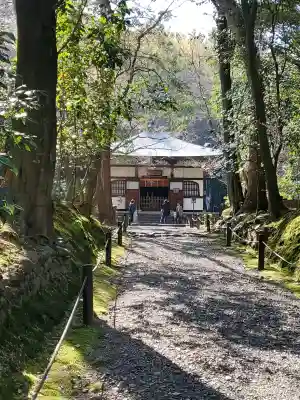 地蔵院の{uncategorized: "未分類", other: "その他", undefined: "問題あり", building: "その他建物", grave: "お墓", sacred_gate: "鳥居", guardian: "狛犬", statue: "像", buddha: "仏像", history: "歴史", nature: "自然", garden: "庭園", animal: "動物", pagoda: "塔", temizu: "手水舎", mountain_gate: "山門・神門", sanctuary: "本殿・本堂", subordinate: "末社・摂社", art: "芸術", scenery: "景色", jizo: "地蔵", ema: "絵馬", goshuin: "御朱印", omikuji: "おみくじ", items: "授与品その他", amulet: "お守り", goshuincho: "御朱印帳", eats: "食事", festival: "お祭り", votive_dance: "神楽", shichigosan: "七五三参", wedding: "結婚式", experience: "体験その他", initially: "初詣", around: "周辺", anti_infection: "感染症対策"}