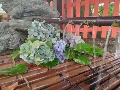 百舌鳥八幡宮(大阪府)