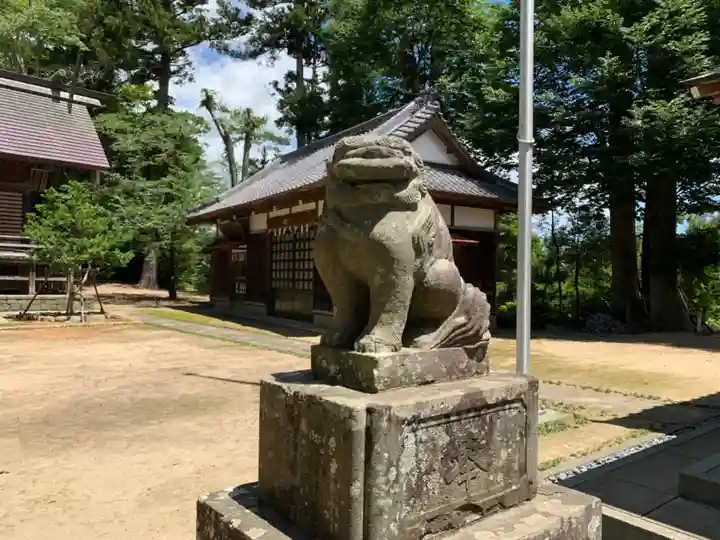 橘樹神社の狛犬