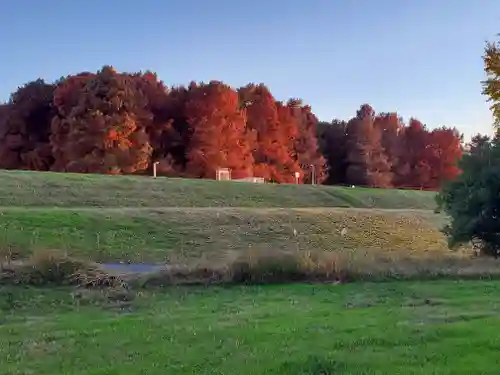 四社神社(栃木県)