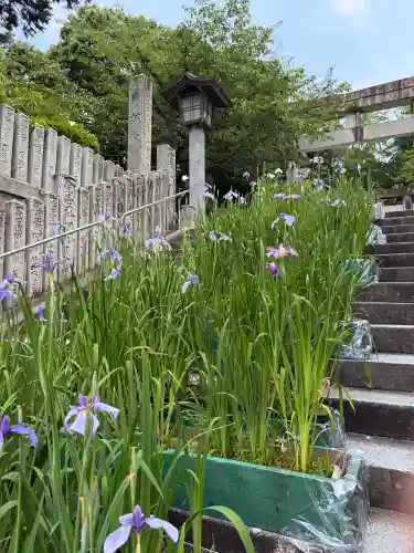 宮地嶽神社(福岡県)
