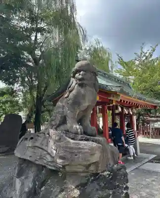 浅草神社の狛犬