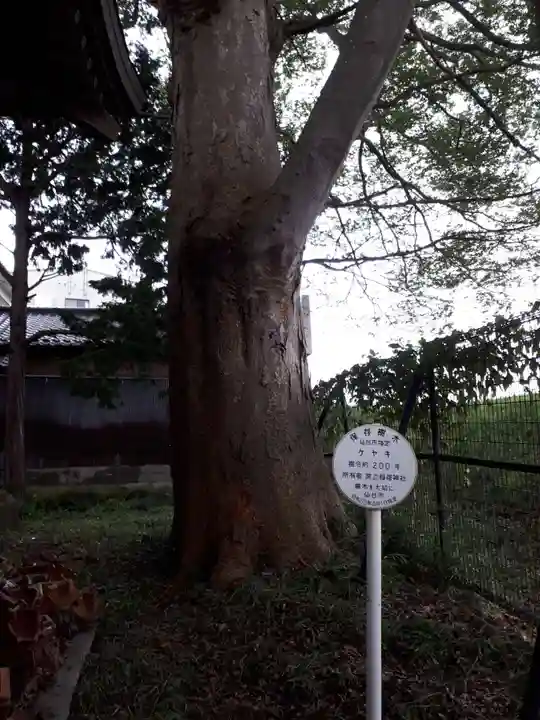 旅立稲荷神社の自然