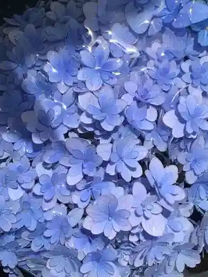 雲昌寺(秋田県)