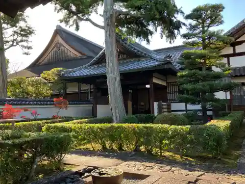 妙心寺（妙心禅寺）(京都府)