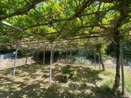 朝日寺(岡山県)